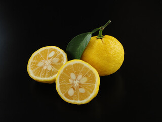 日本の柚子を黒背景で