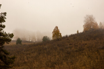 Фото из экопоселения на Алтае "Чачжаевка"