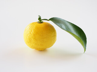 日本の柚子を白背景で