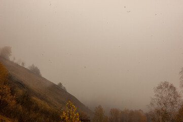 Фото из экопоселения на Алтае "Чачжаевка"