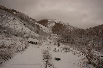 Фото из экопоселения на Алтае "Чачжаевка"