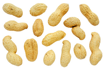 Peanuts in shells isolated on white background, top view. Isolated unpeeled peanuts on a white background, top view. Set of unpeeled peanuts in shell. Peanuts isolated on white background.