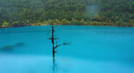 Beautiful Blue Moon Valley in Jade Dragon Snow Mountain, Lijiang Yunnan China