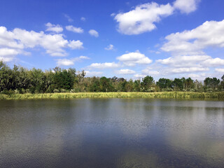 A lake and tree line with blue sky and clouds