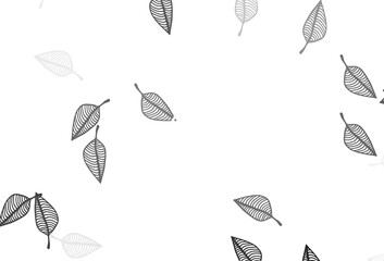 Light Silver, Gray vector doodle layout.