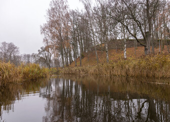 autumn landscape gray and cloudy day, river bank with bare trees and bushes, bank reflection in river water