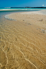 511-73 Summer Ripples, Lake Michigan