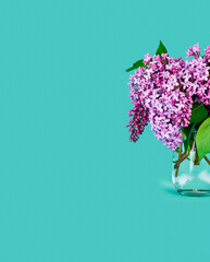 Blossoming branches of lilac (Syringa vulgaris). Bouquet of violet flowers in a glass vase on an azure background. Text space.