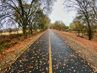 paved bike trail in fall after rain 