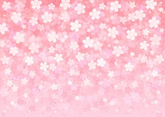 桜の花が一面に咲く横長の背景イラスト vol.02