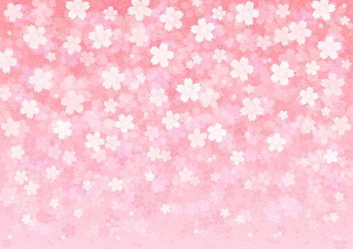 桜の花が一面に咲く横長の背景イラスト vol.02
