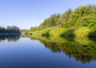 Fototapeta na wymiar beautiful morning on the river, shore and tree reflections in the water, Gauja river, Latvia