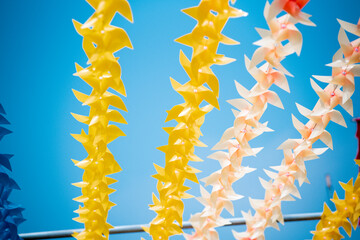 Colorful pinwheel on blur background