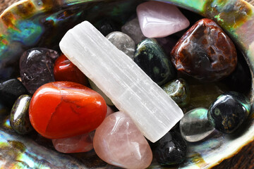 A top view image of an abalone shell filled with various chakra healing crystals. 