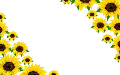 Illustration vector graphic of beautiful floral with sunflowers design template