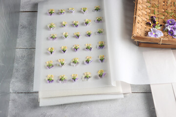 Step by step of making pressed flowers or oshibana. Step two, arranging flowers between 2 sheets of parchment paper.