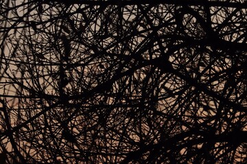 Deep glowing sun set over a nature park lake winter season 