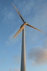 wind turbine for electricity generation
