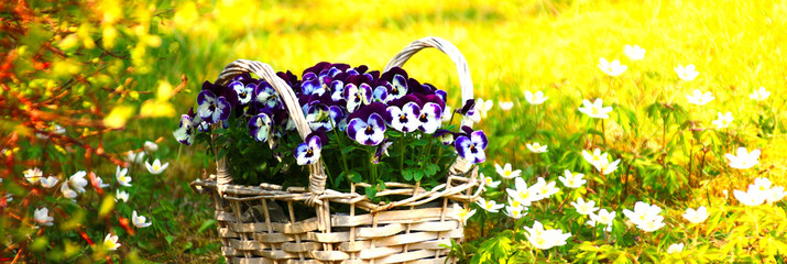 endlich frühling