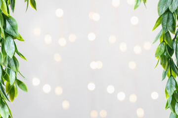 Obraz premium green leaves with bright blurry background