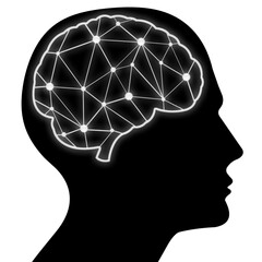 Ilustra&ccedil;&atilde;o da cabe&ccedil;a humana - c&eacute;rebro e liga&ccedil;&otilde;es nervosas