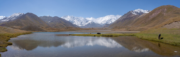 Fototapeta na wymiar Panoramic view of Achik Tash basecamp of Lenin Peak nowadays Ibn Sina peak in snow-capped Trans-Alay or Trans-Alai mountain range in southern Kyrgyzstan with lake and reflection in foreground
