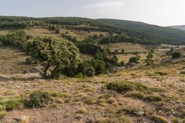 Mountainous landscape in Sierra Nevada in southern Spain