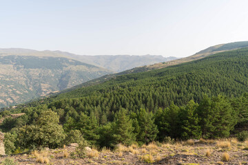 Fototapeta na wymiar Mountainous landscape in Sierra Nevada in southern Spain