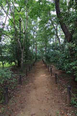姉の彼氏が恋する公園