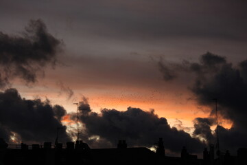 Atardecer anaranjado con nubes grises y pájaros volando (Madrid)