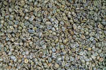 Abstract raw coffee bean background. Selective focus. Coffee Roasting Cafe Theme.