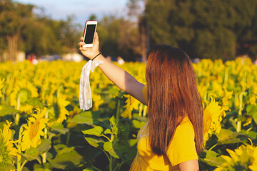 A women are taking picture with sunflower field, holding smartphone in hands and taking selfie. Travel on the weekend concept