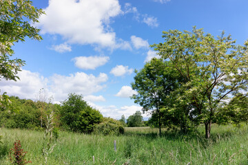 Palaiseau forest in Ile de France country