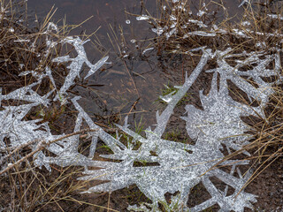 Winter im Nationalpark Harz - Oderteich