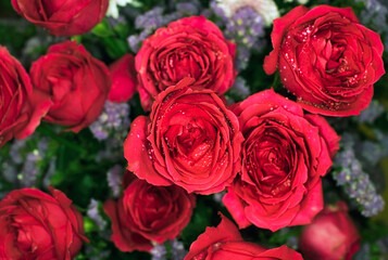 Close-up of a mixed bouquet of roses,summer flowers background.