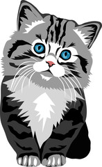 vector drawing of a cute kitten