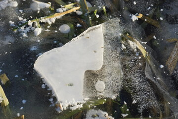 unusual piece of ice on the pond