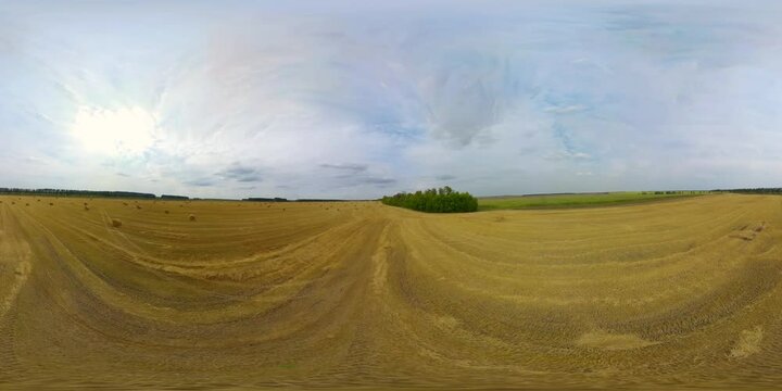 Aerial view of Rural fields after harvesting with round stacks of golden straw are collected in many rolls. Landscape meadow with hay bales after harvest. VR 360.