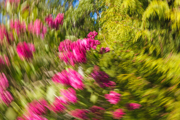 Artsy swirling motion blurred purple flowers