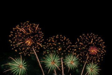 Bursting of Fireworks festival in the night.