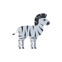 Zebra. Illustration.