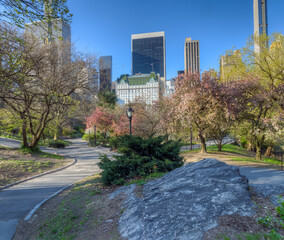 Central Park in spring
