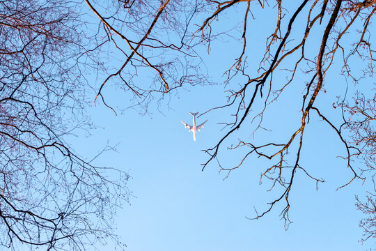 Airplane in the blue sky against the background of trees.