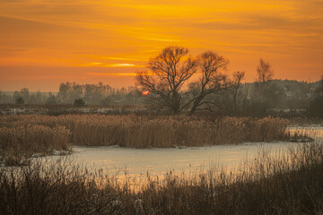Fototapeta na wymiar Frozen river, bare trees and field of dry reeds at winter sunset with orange sky