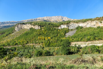 Fototapeta na wymiar Green fields, with pine forest, cliffs and rocky mountains, blue sky, municipality of Castejón de Sos, province of Huesca, Spain