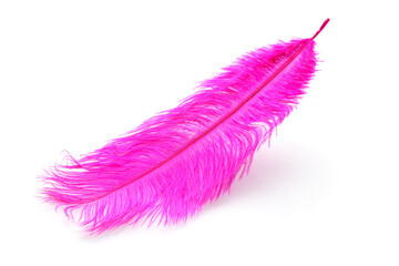 Pink dyed ostrich feather close up isolated on the white background