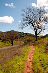 Southern California rural landscape with hiking trail, oak trees and mountains.