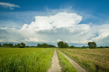 Dirt road through green fields and a large white cloud