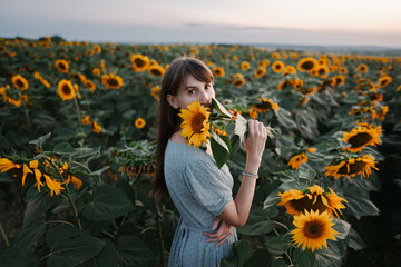 a woman stands in a field with sunflowers in and covers her face with one sunflower. Protection of...