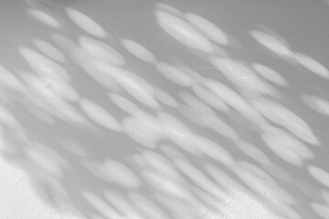 Obraz premium Abstract leaves shadow and light blurred background with light bokeh, natural leaves tree branch on white wall texture, wallpaper, nature shadow pattern on wall